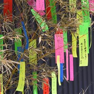 Ramură de bambus decorată cu tanzaku pentru festivalul Tanabata în Japonia